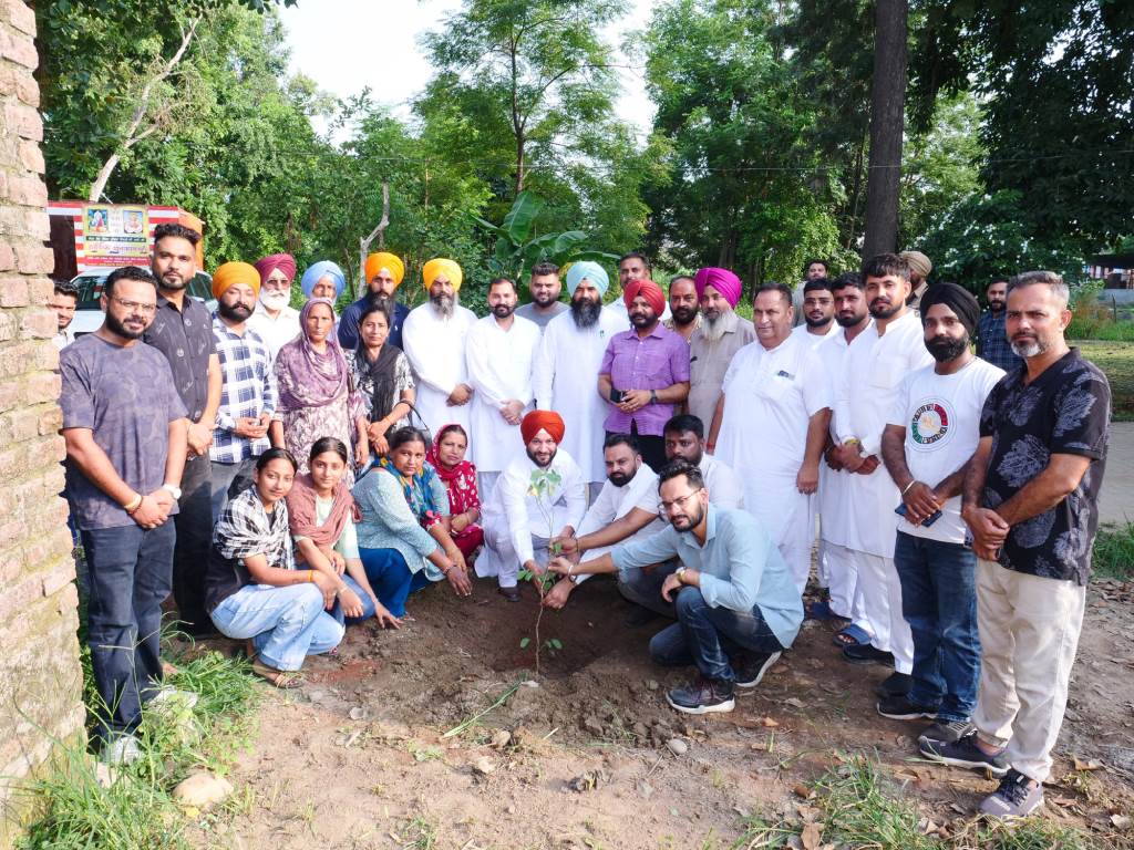 AAP leaders including Deputy Speaker Raudi celebrated Kejriwals birthday by planting saplings